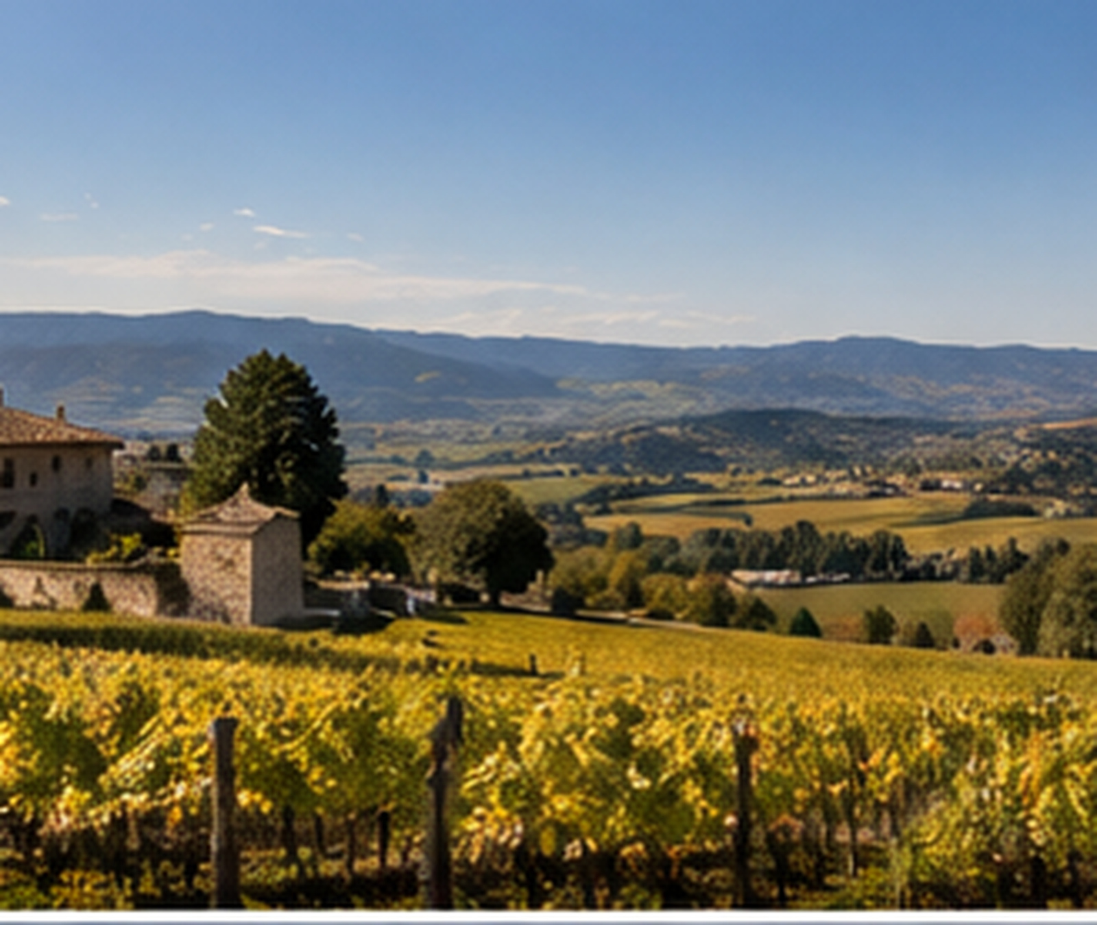 Campagne française ensoleillée avec vignobles et village sous un ciel calme